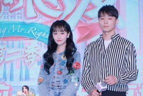 娱乐圈吃瓜短剧推荐文,短剧吃瓜指南，带你领略明星幕后故事