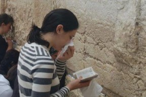 娱乐圈吃瓜君西瓜视频,揭秘明星幕后故事，带你领略娱乐风云